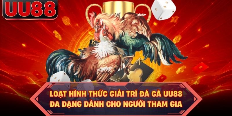 Loạt hình thức giải trí đá gà UU88 đa dạng dành cho người tham gia Loạt hình thức giải trí đá gà UU88 đa dạng dành cho người tham gia